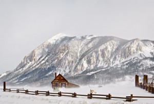 IVY_20090310_3149_PS