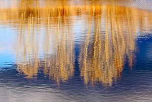 IVY_20090418_3833_PS1