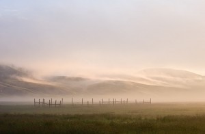 IVY_20090621_9688_PS