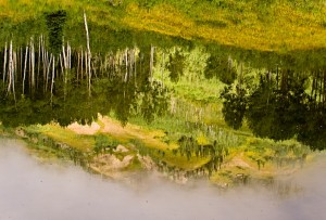 IVY_20090825_1443_PS