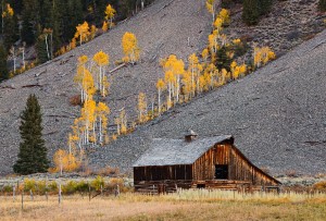IVY_20091001_0032_RD