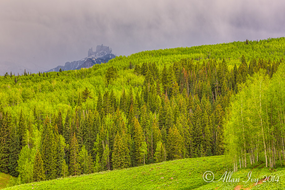 IVY_20140608_5527_tonemapped-Edit